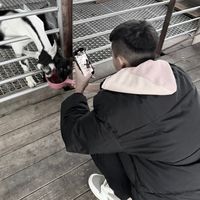 原聲 - 陈锋