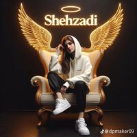 shehzadi.khan67