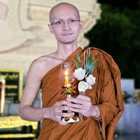 lp_omo