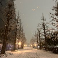 a_song_for_you1