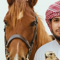 الصوت الأصلي