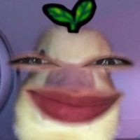 original sound - SDPH MAZY