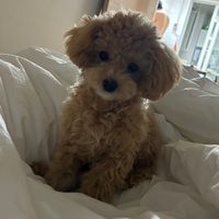 user5768106171282