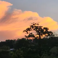 original sound - anabelp48