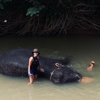 hasi_bulathsinghala