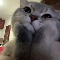 luvheartz05