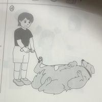 hachi_830