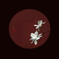 original sound - viralbunny1324