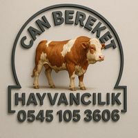 karscanbereket36
