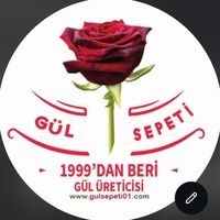 gulsepeti01_