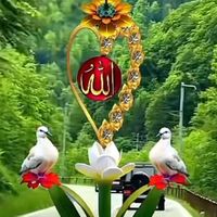 hossainali030