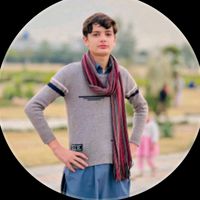 safwanmk2
