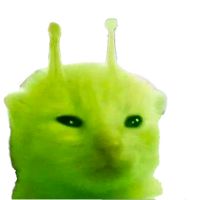 suara asli - JP
