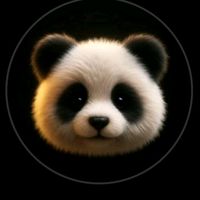 ali__02043