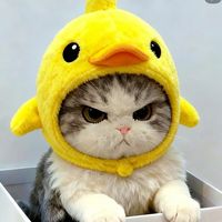 เสียงต้นฉบับ - พี่มะหมีเองคับ! ( รับตัดคลิป )