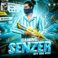 senzer_ff_