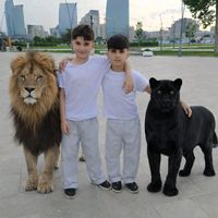 ir.v.qara.bbir