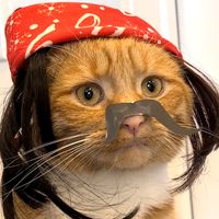 heyitsgingerandpepper