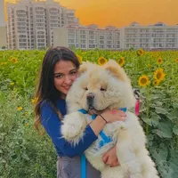 original sound - shruti_bkshi12