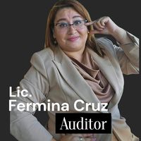 ferminacruzauditor