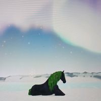 wild.horse.islands123