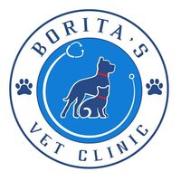 .boritavetclinic
