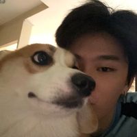 numfas7
