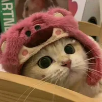 original sound - bashamedingdong