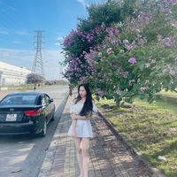 nhạc nền - Bé Thu❤