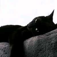 原声 - 想睡个好觉.