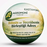 orijinal ses