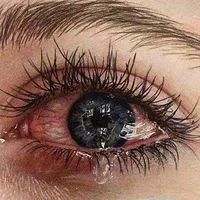 original sound - no_one__786