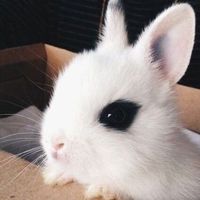 luv_catywony