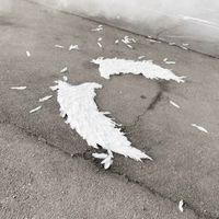 оригинальный звук