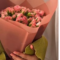 _jamila171