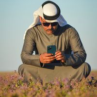 الصوت الأصلي