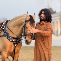 rokhristud