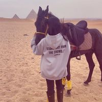 marey_hamed