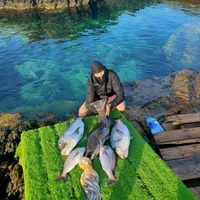 original sound - nabilmochakis870