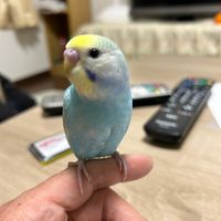スリル