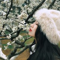 nhạc nền - Đinh tuyết Mai