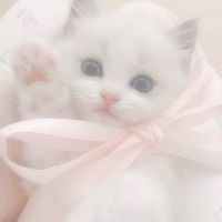 7kun_