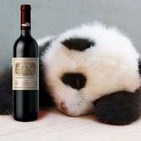 original sound - wex :3