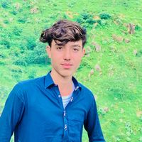 salman.armine
