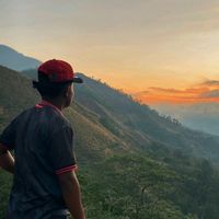 suara asli