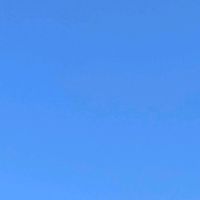 user_13579209