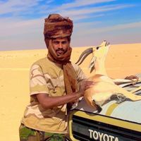الصوت الأصلي
