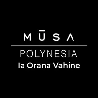 original sound - user1959953662721