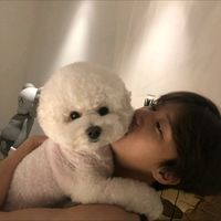 hongjae_