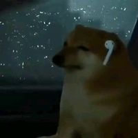 nhạc nền - 🎵Cheems Music🔥